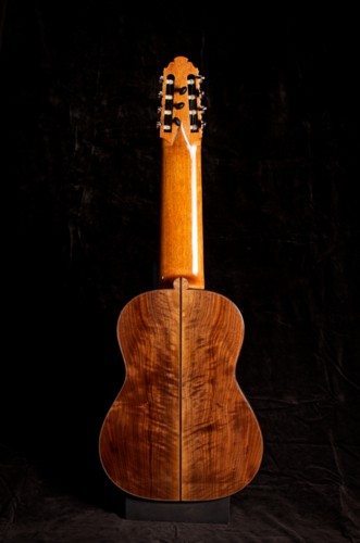 11-string guitar