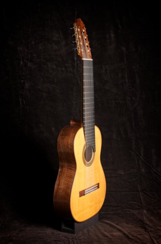 11-string guitar