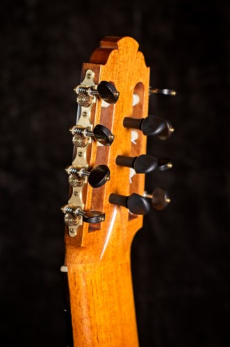 11-string guitar