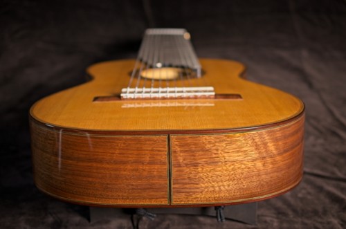 11-string guitar