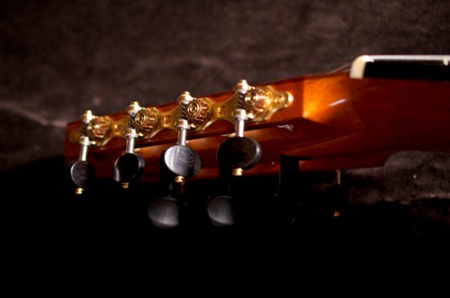 11-string guitar