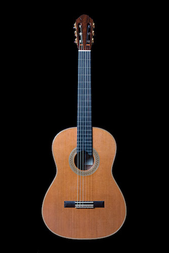 Guitar 199