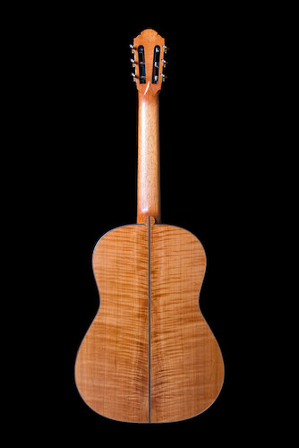 Guitar 199