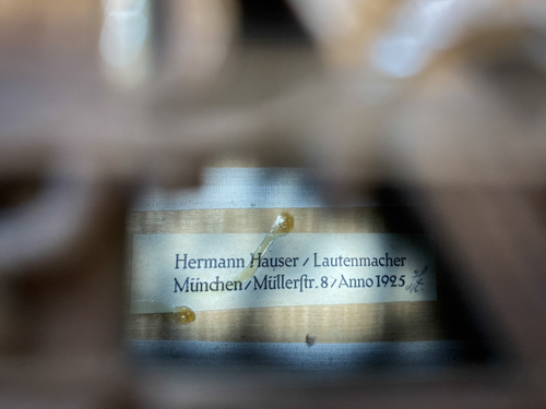 Hermann Hauser