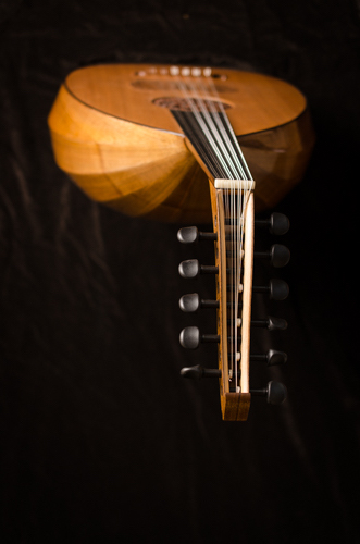 Large Model Cedar/Walnut