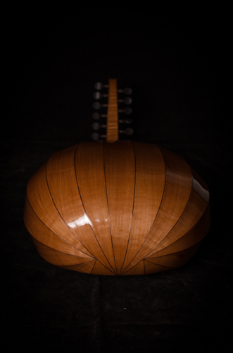 7-course 12 string oud