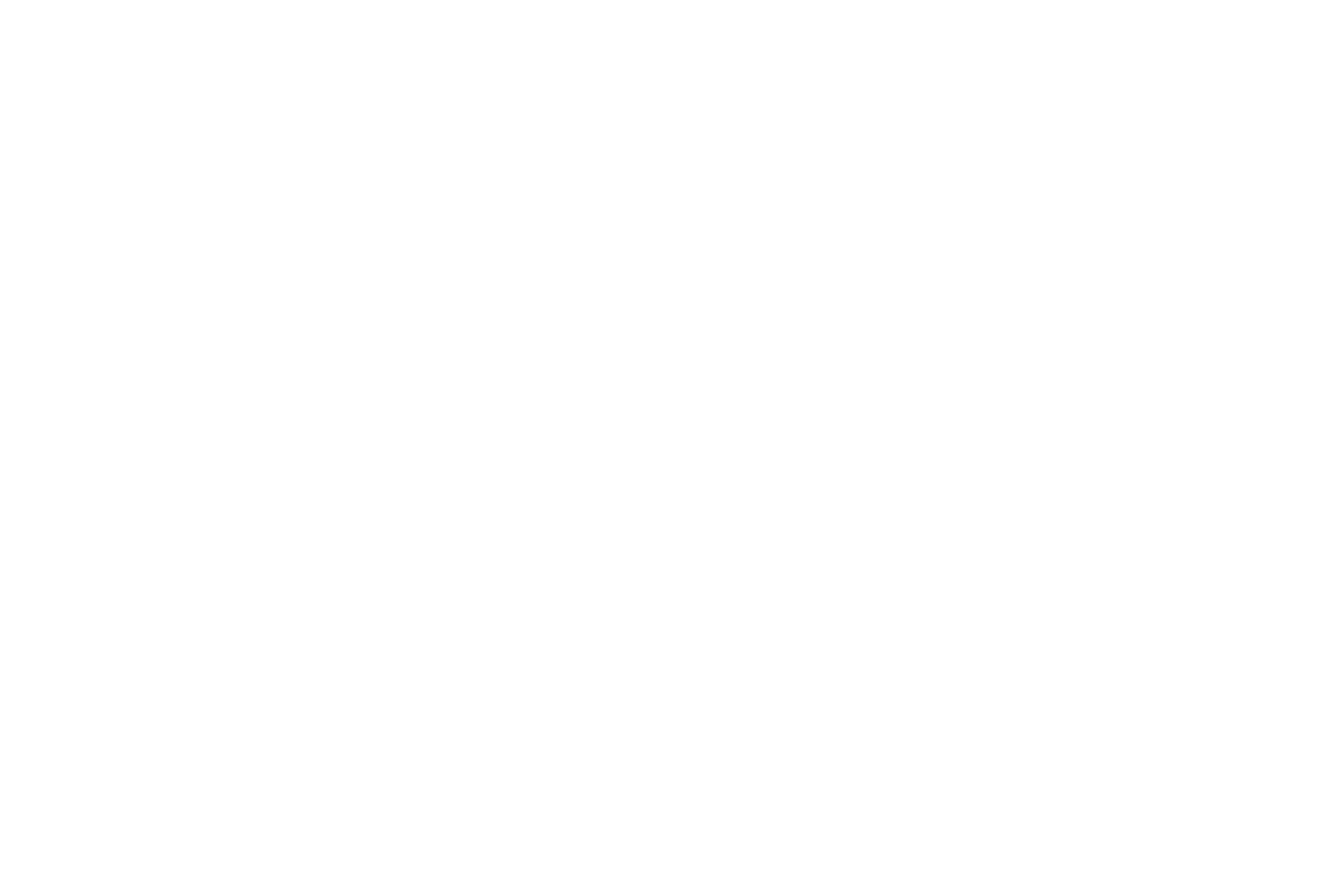 Ayadaguitars logo